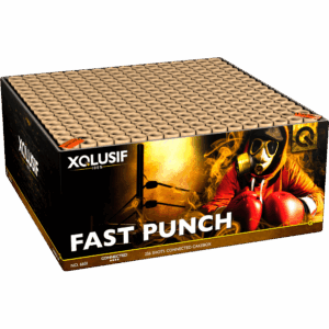 Fast Punch